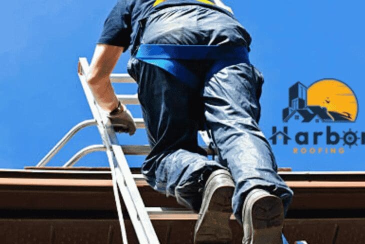 Top 6 Common Commercial Roof Issues post thumbnail