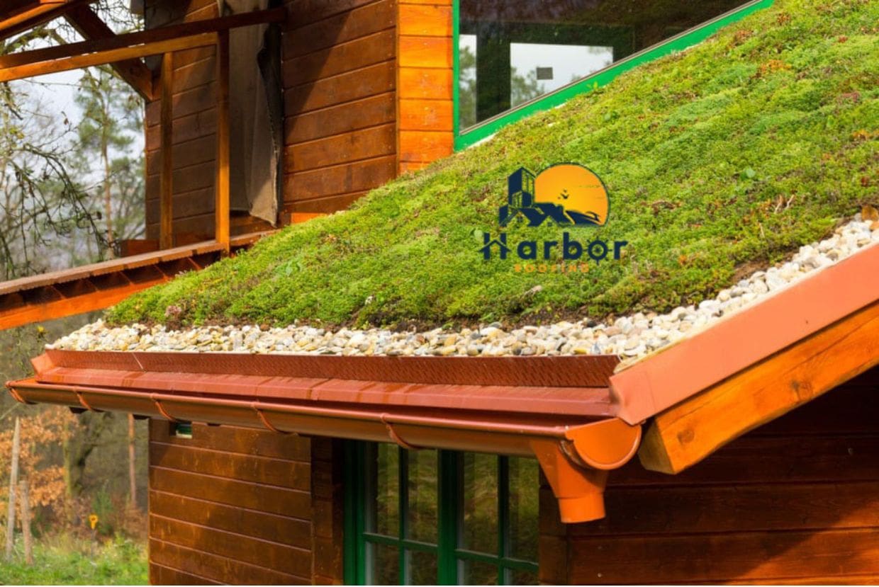 Green Roofing vs. Clerestory Roofing: Which One Is Right for You? post thumbnail