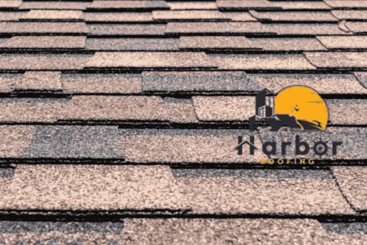 How Much Does a New Shingle Roof Cost in Florida? (2025 Guide) post thumbnail