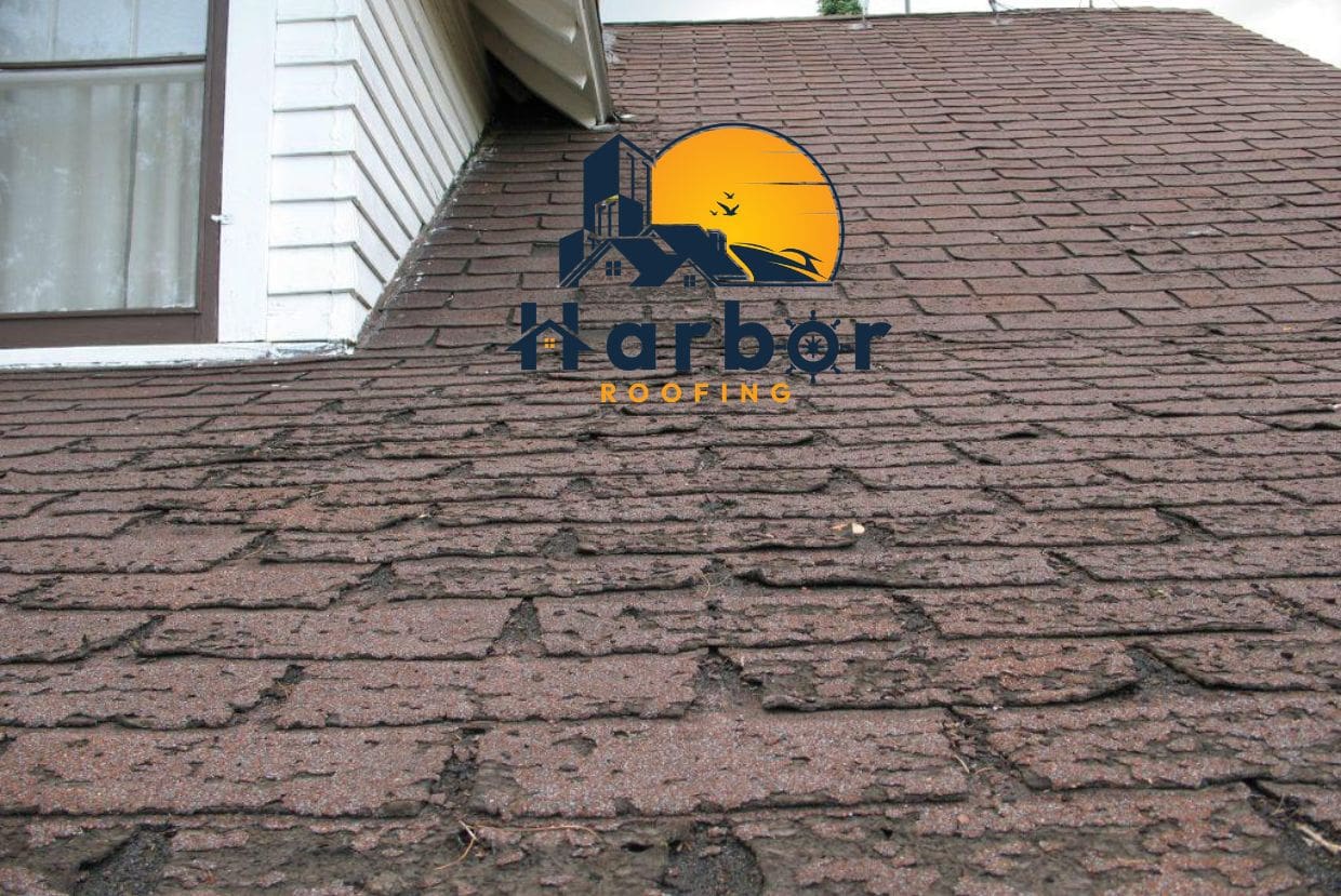 Alt Tag for Blog Image1