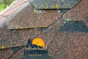 How to Know If Your Roof Will Last Another Year
